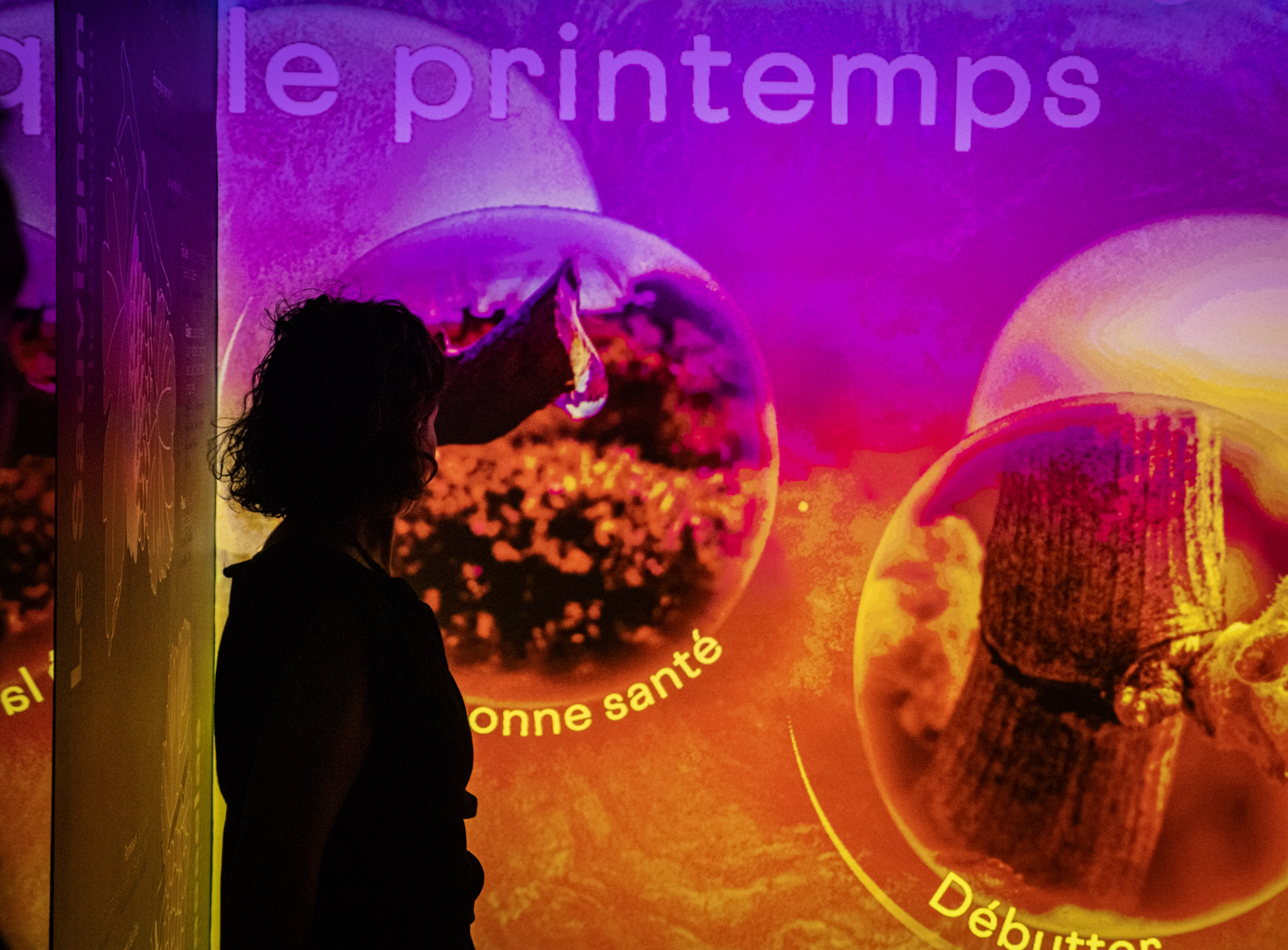 Une expérience immersive