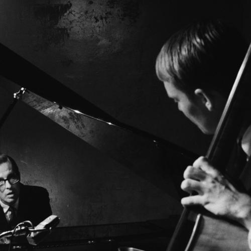 PROJECTION : Evedybody digs Bill Evans