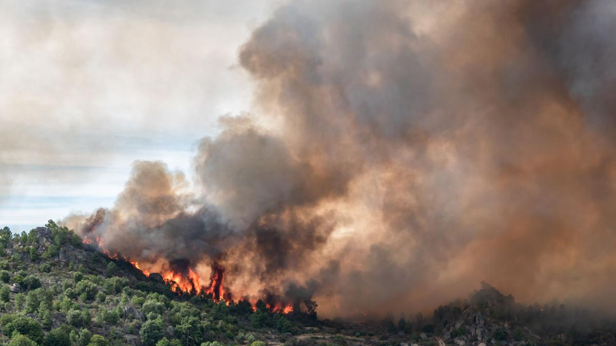Il n'y a pas d'incendie près de chez vous : cette odeur de fumée vient bien de Gironde