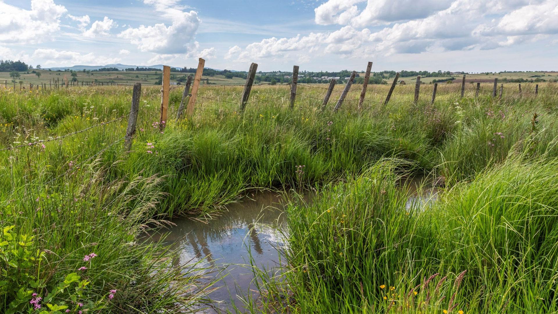 Comment le changement climatique perturbe la recharge des eaux souterraines