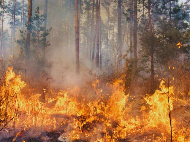 Incendie en Gironde : quand la couverture médiatique devient du bruit