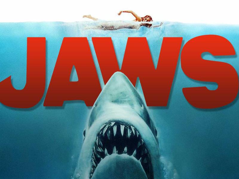 Les Dents de la Mer a 50 ans : comment un requin en plastique a bouffé Hollywood